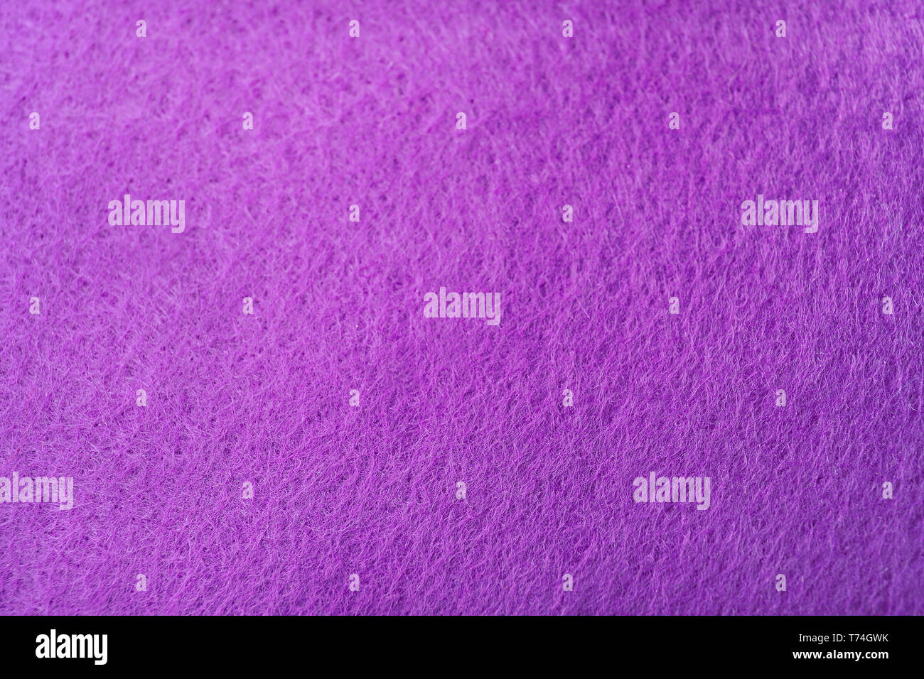 Purple texture, closeup Stock Photo