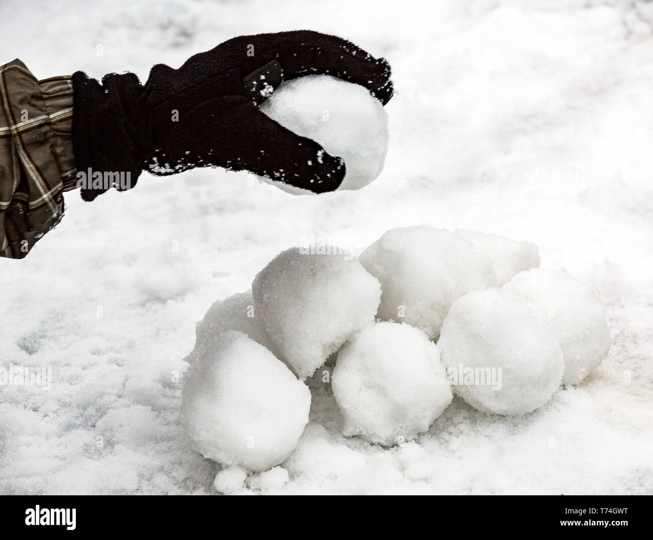 Making snowballs. Making snowballs