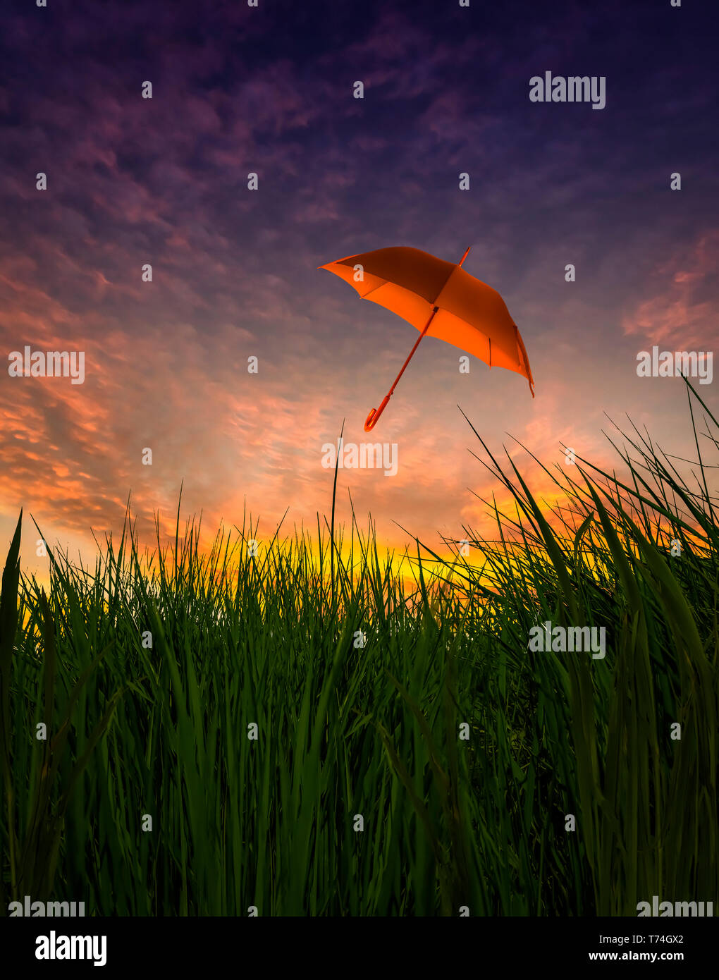 Composite image of an umbrella floating over grass at sunset Stock Photo