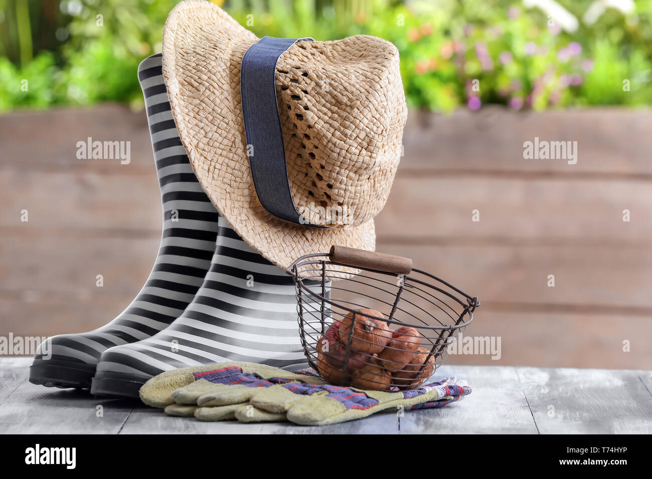 Composition with rubber boots and flower bulbs on wooden table in garden Stock Photo