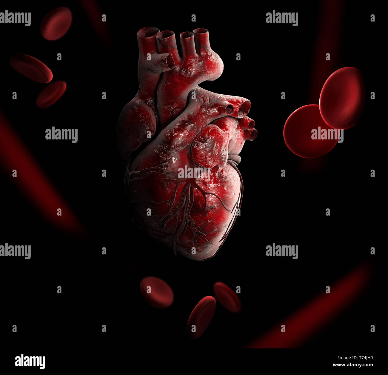 Anatomy of Human Heart 3D illustration - Isolated on black Stock Photo ...