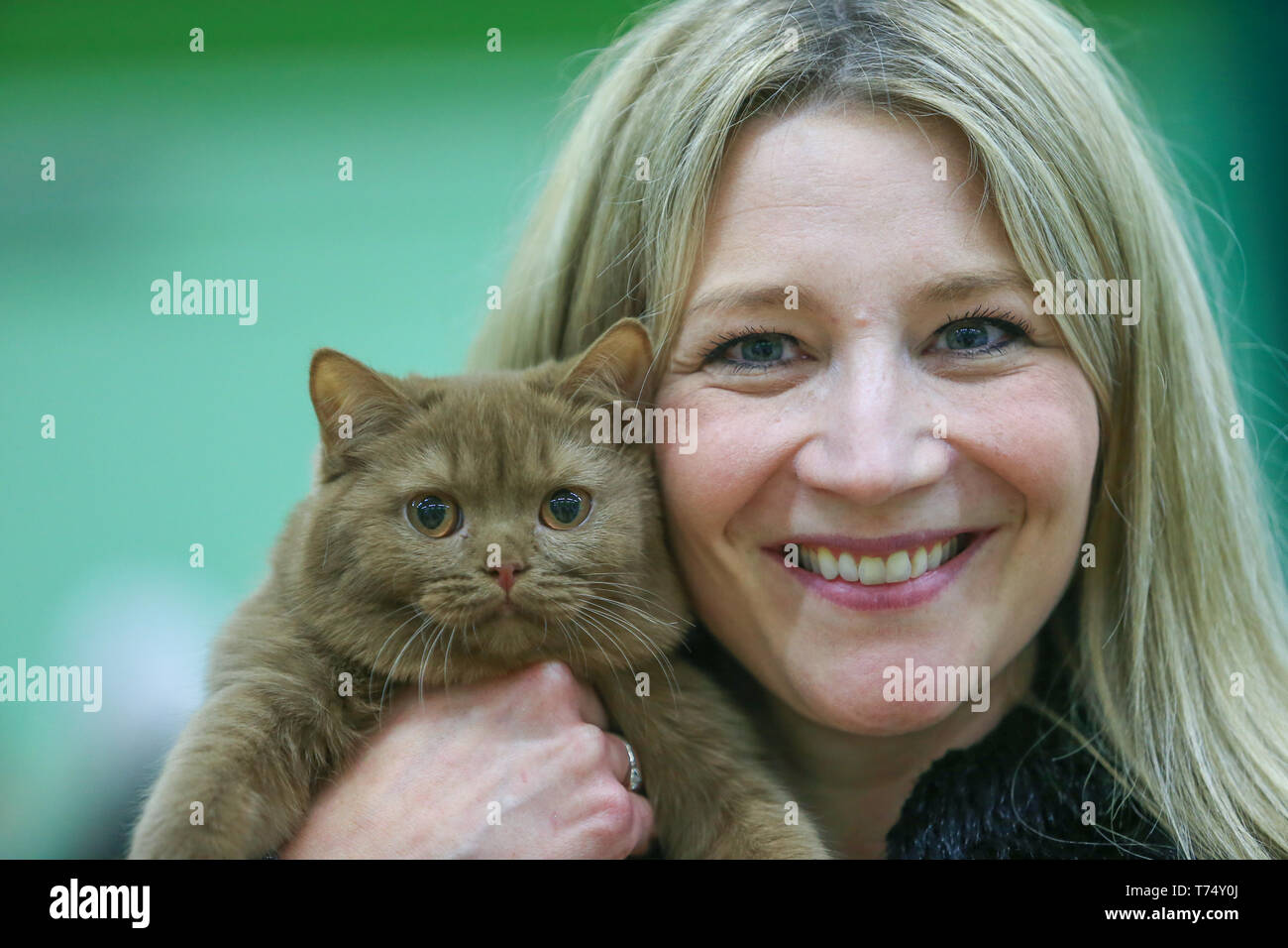 Worcester, UK. 4th May, 2019. 'Autumn' a British Short Hair is held by owner Eline Thomas at the GCCF Cat Show held at Worcester. Peter Lopeman/Alamy Live News Stock Photo