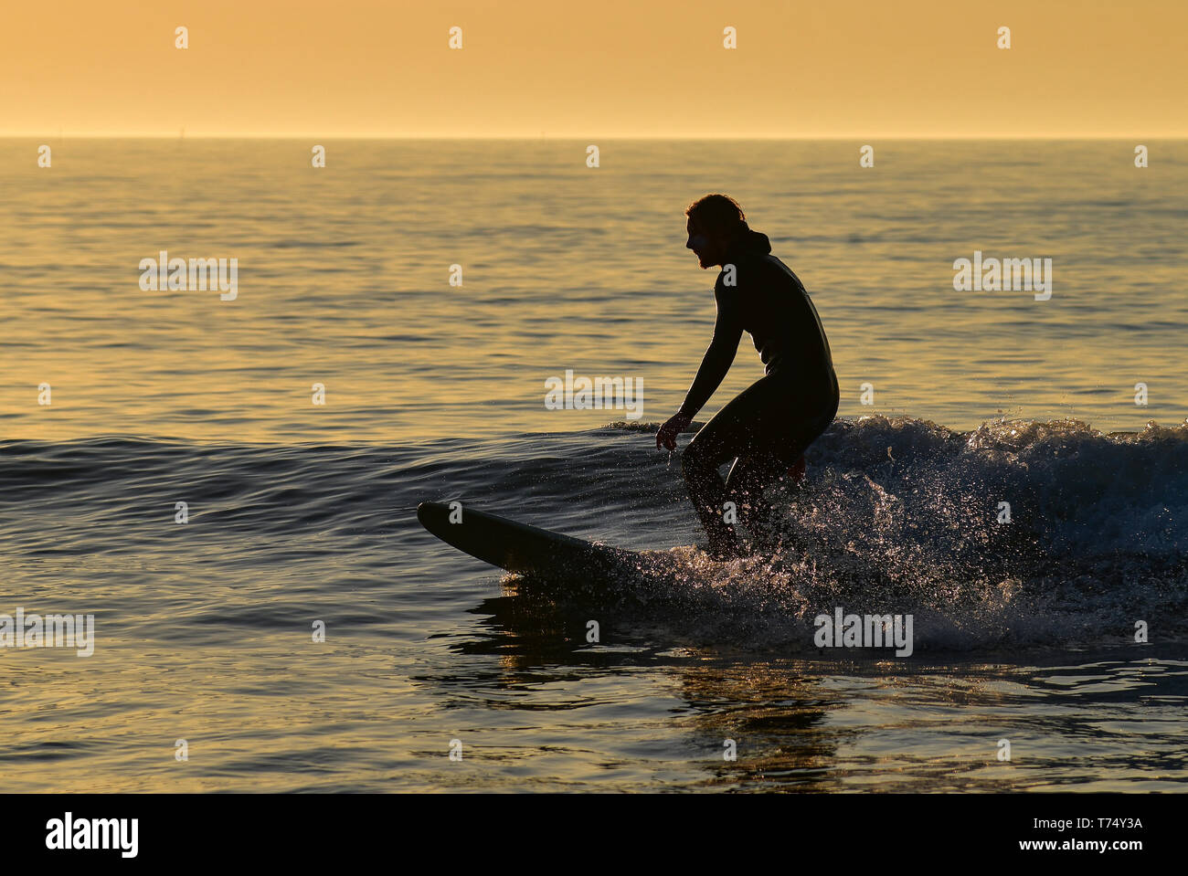Everything Must Come To Light High Resolution Stock Photography And Images Alamy