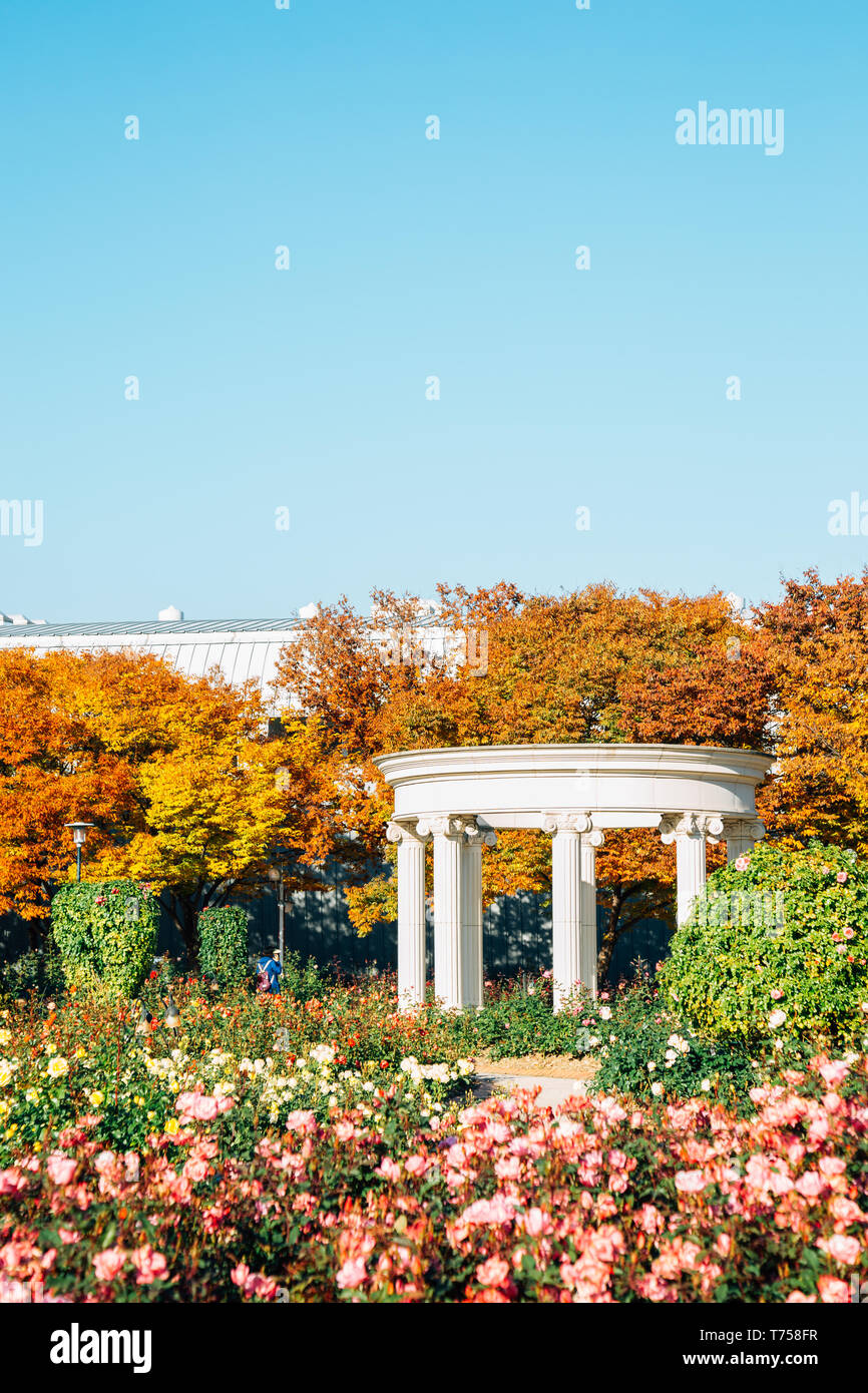 Olympic park rose square at autumn in Seoul, Korea Stock Photo