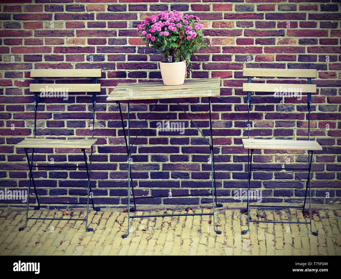pink flowers on a wooden table in a bar with old toned effect Stock Photo
