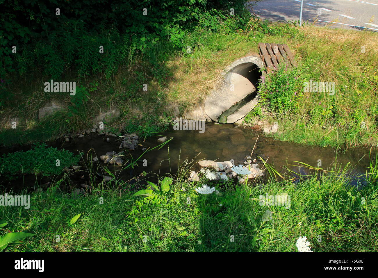 Abwasserkanal, Abflussrohr aus Beton führt Schmutzwasser in einen kleine Bach Stock Photo