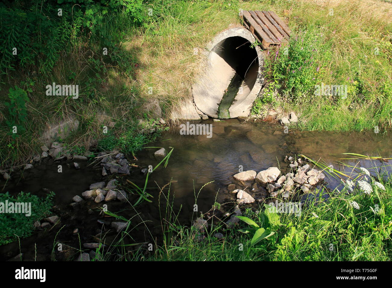 Abwasserkanal, Abflussrohr aus Beton führt Schmutzwasser in einen kleine Bach Stock Photo