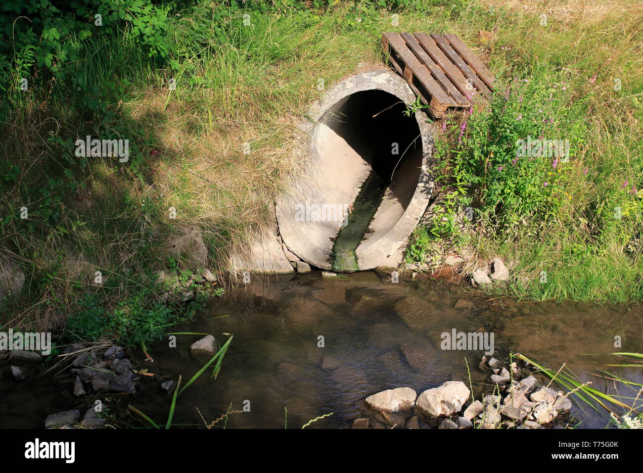 Abwasserkanal, Abflussrohr aus Beton führt Schmutzwasser in einen kleine Bach Stock Photo