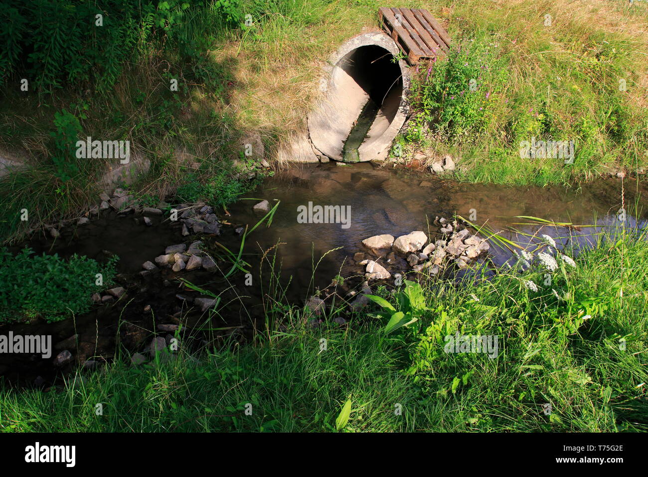 Abwasserkanal, Abflussrohr aus Beton führt Schmutzwasser in einen kleine Bach Stock Photo