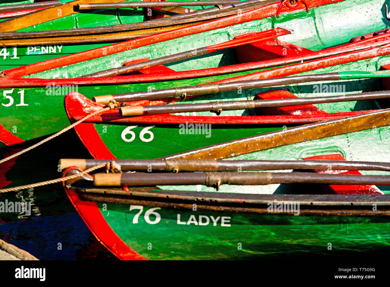 Rowing Boats, River Nidd, Knaresborough, England Stock Photo Alamy