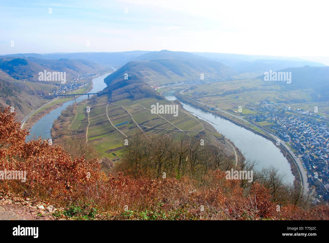 The breathtaking view on the famous moselle loop from the nearby hills. The moselle loop is located next to the village Bremm. Stock Photo