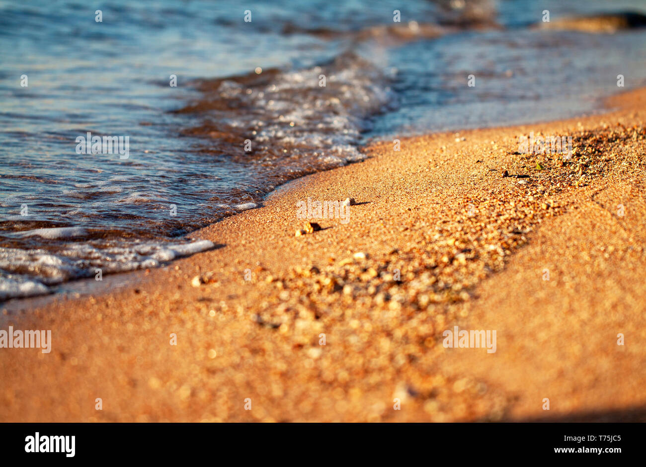 yellow sand and the clear water of the Red Sea Stock Photo