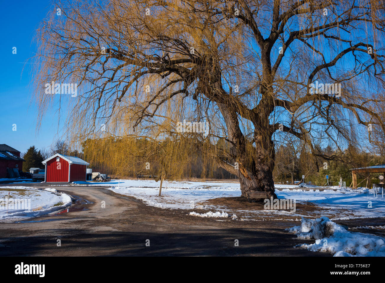 Upstate New York winery on Senaca Lake in the Fingerlakes Region Stock