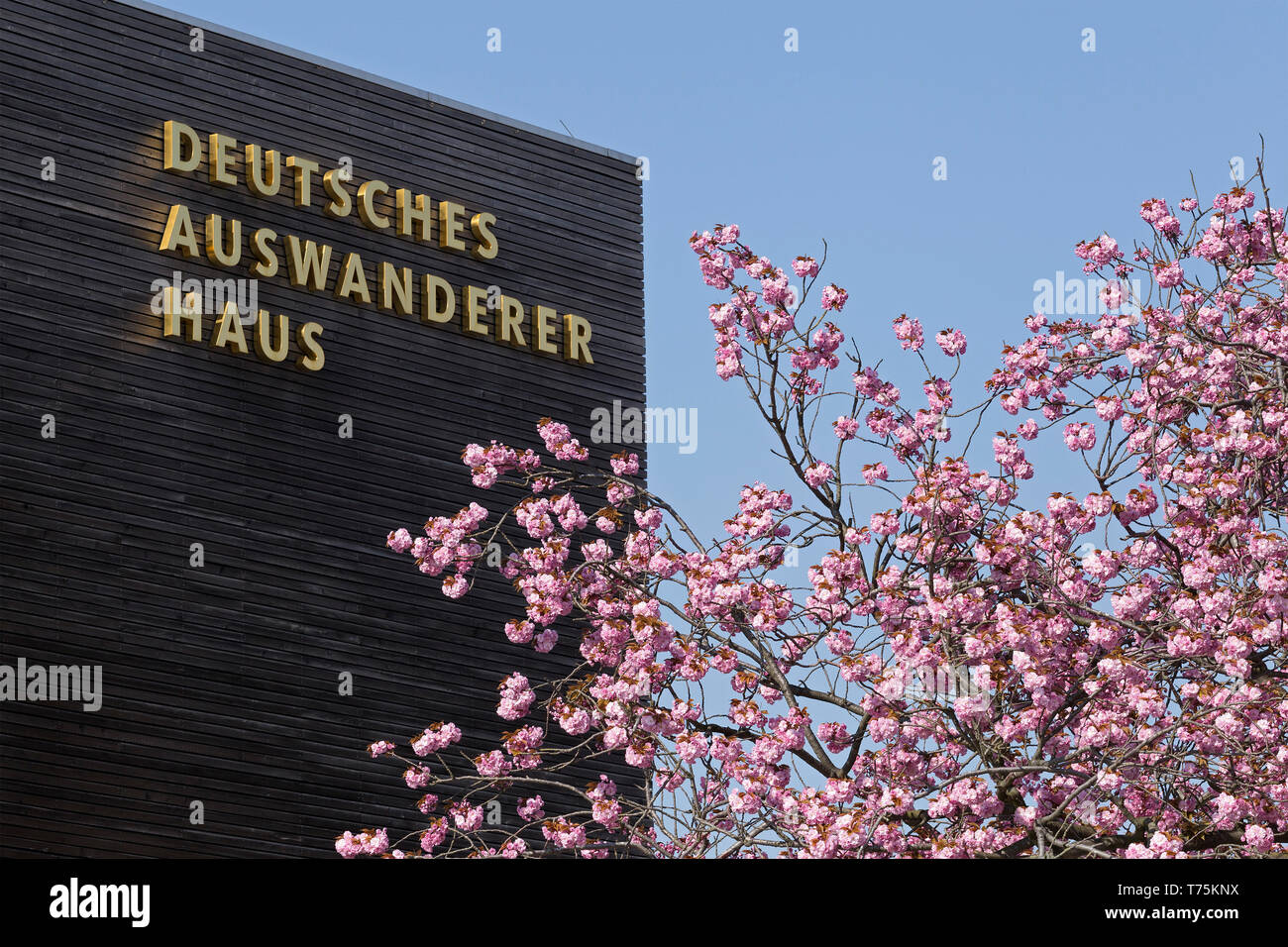 Kirschbaum Germany Stock Photos Kirschbaum Germany Stock Images