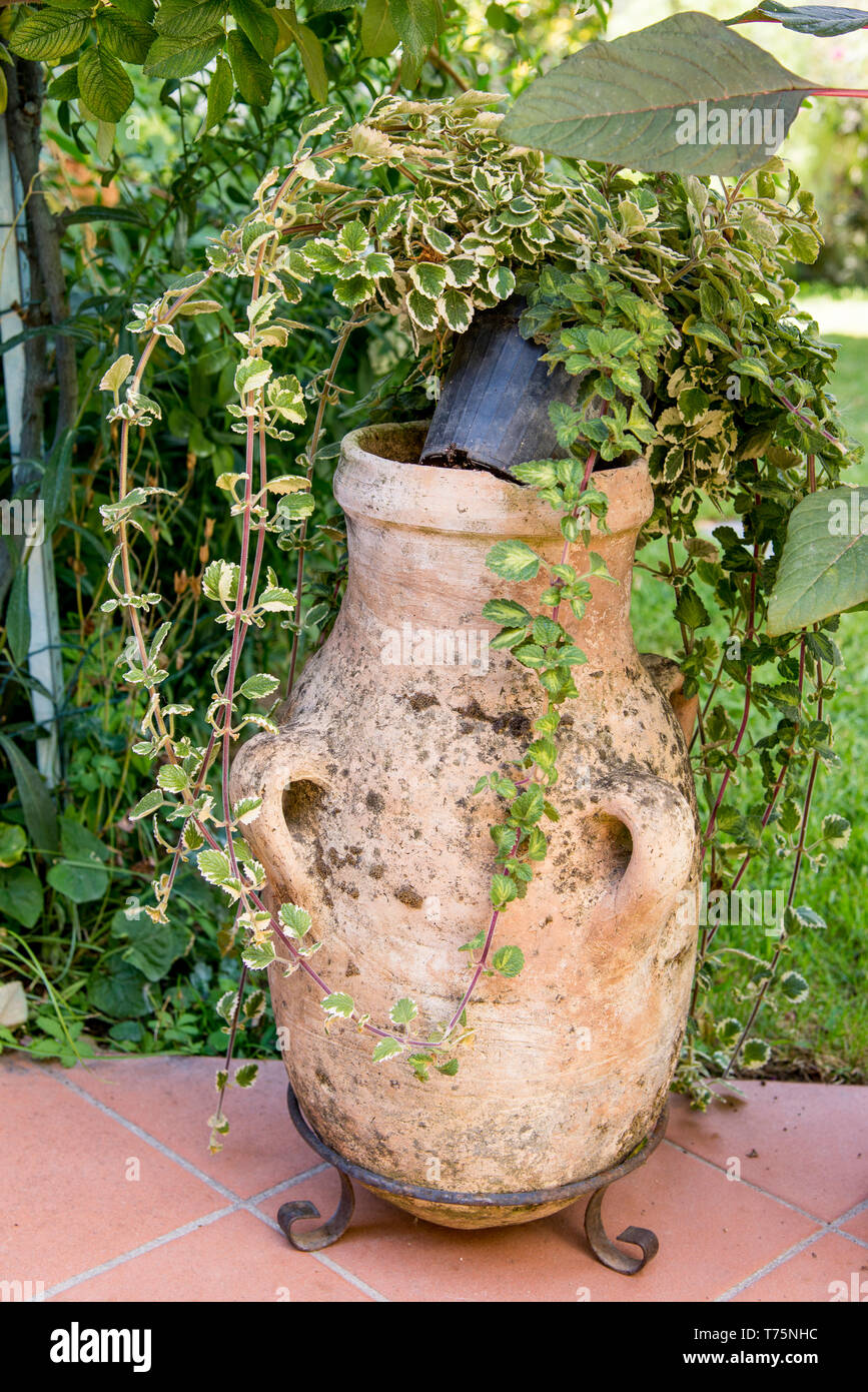 Italian garden decorations vintage retro mediterranean arrangement