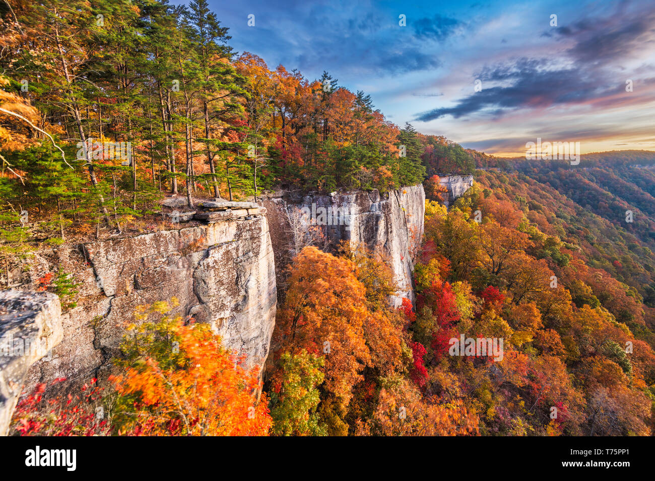 New River Gorge, West Virgnia, USA autumn morning lanscape at the Endless Wall. Stock Photo