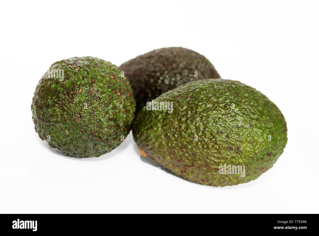 Haas avocado isolated on a white studio background, close up Stock ...