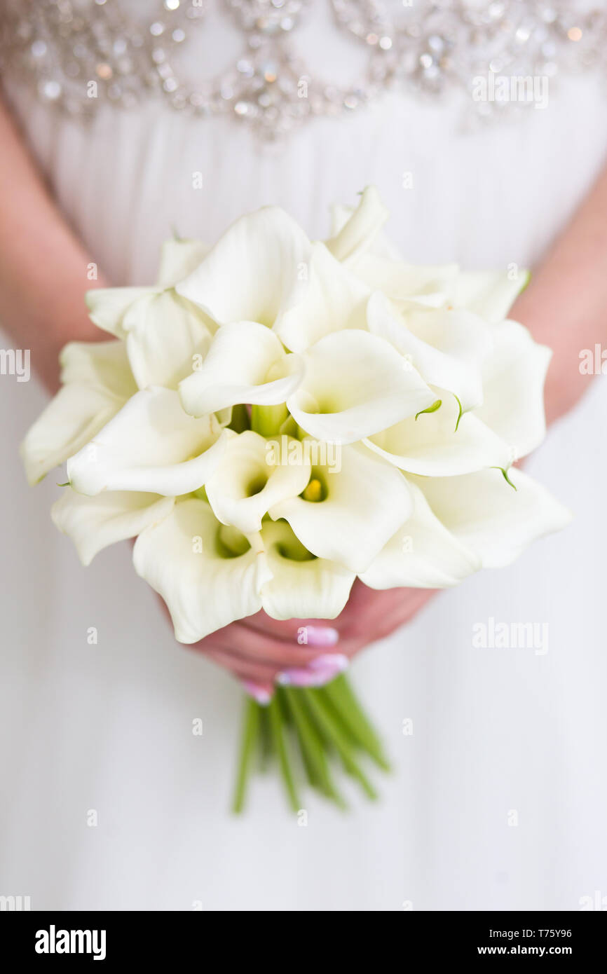 Exquisite wedding bouquet of white callas in the hands of the bride Stock  Photo - Alamy