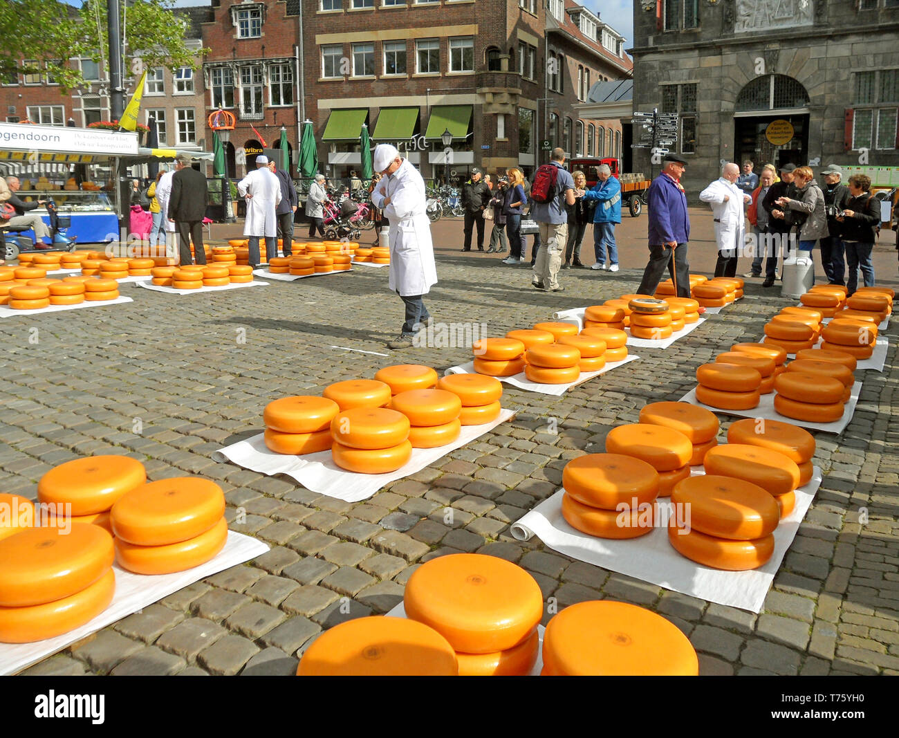 Traditional Cheese Trading at Gouda Cheese Market , The Netherlands