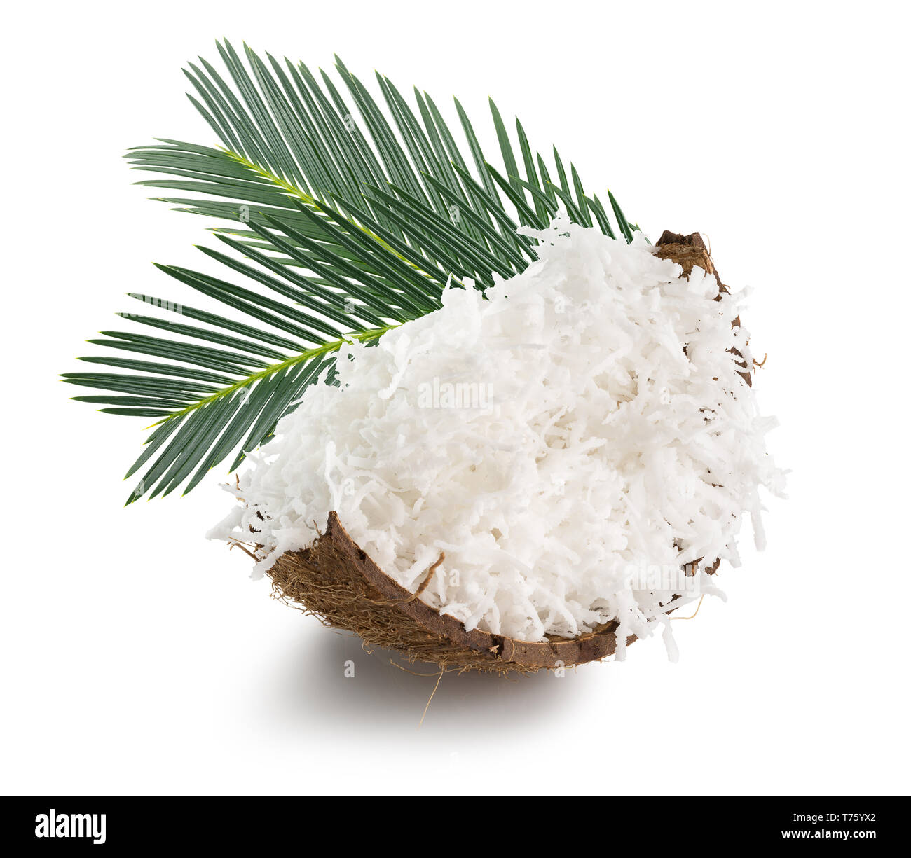 Dried coconut leaves hires stock photography and images Alamy