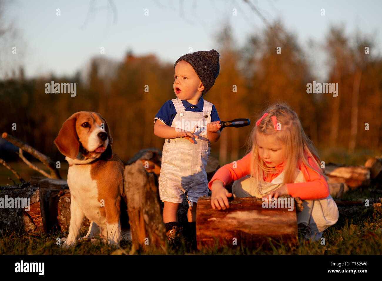 Beagles with kids fashion