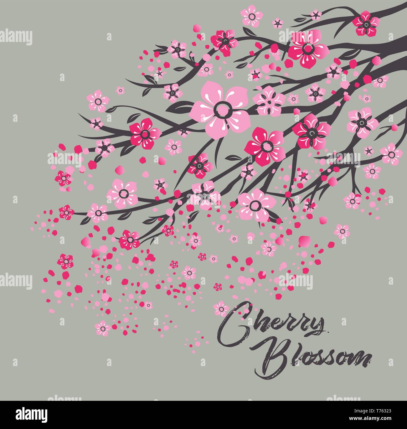 Sakura japan cherry branch with blooming flowers illustration Stock ...