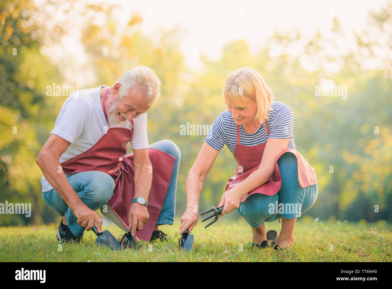 Elderly couple reading newspaper in garden at sunset. Concept couple elder love. Stock Photo