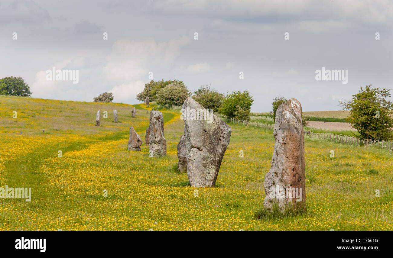 Details of stones and environs in the Prehistoric Avebury Stone Circle ...