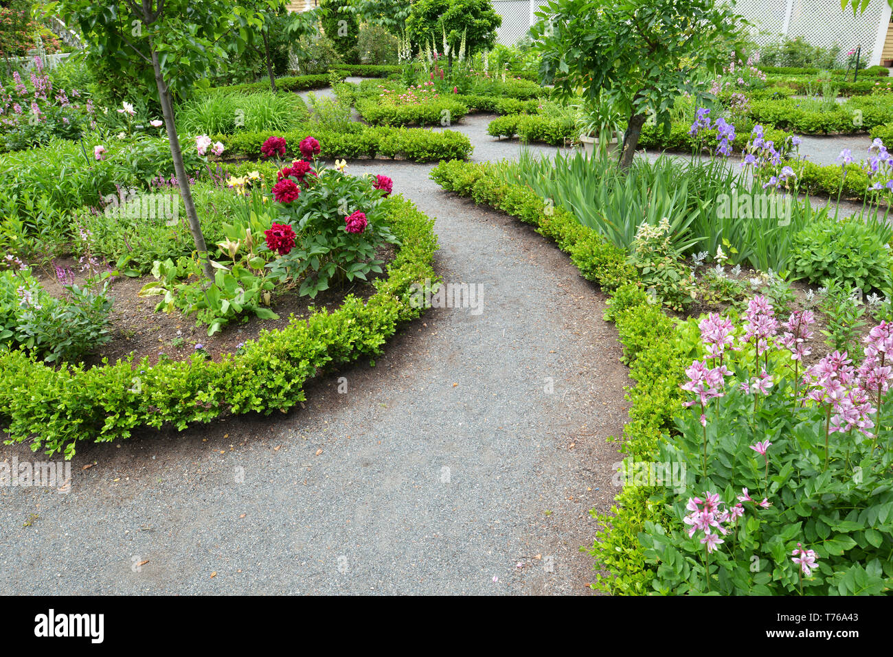 Landscape design. Crushed stone paths and low hedge borders in formal, old-fashioned garden Stock Photo