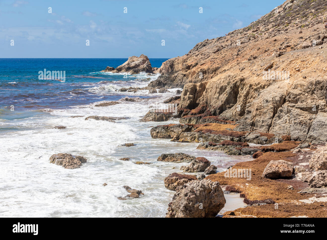 Rugged Coast Line at Grand Fond, St Barts Stock Photo