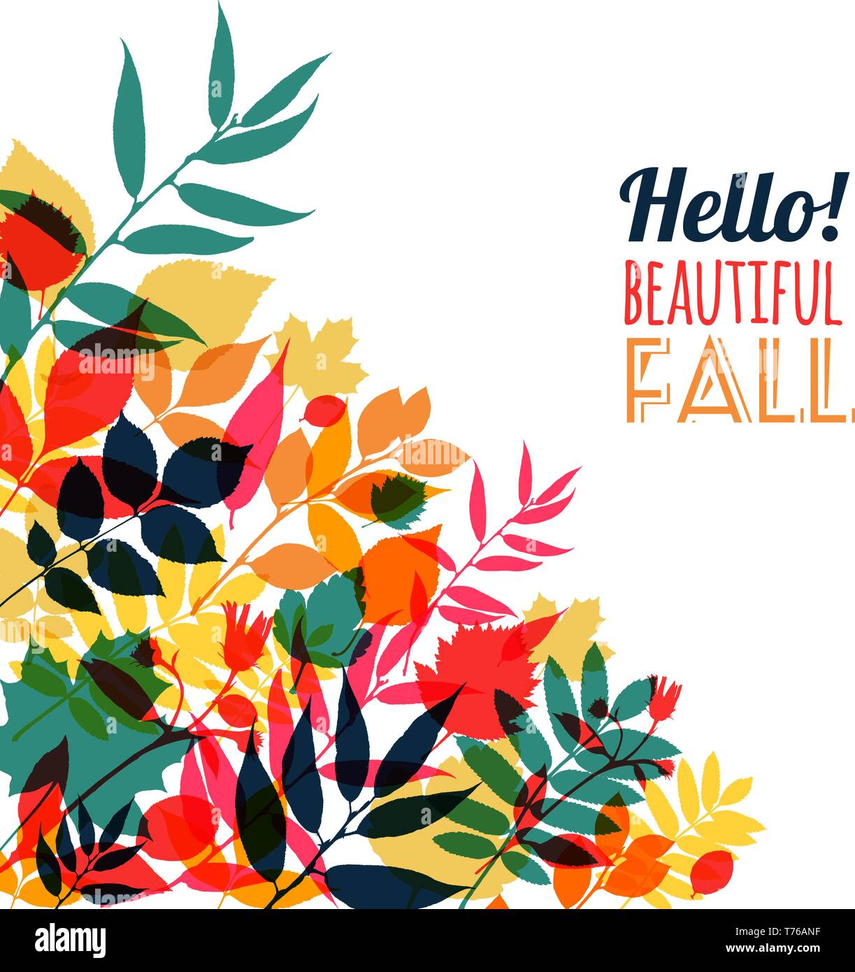 Autumn illustration of leaves Stock Vector Image & Art - Alamy