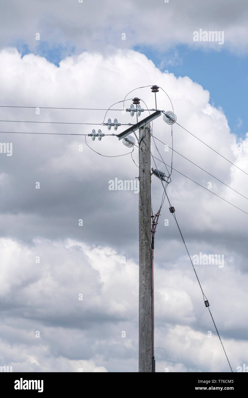 Local 2024 electrical supply
