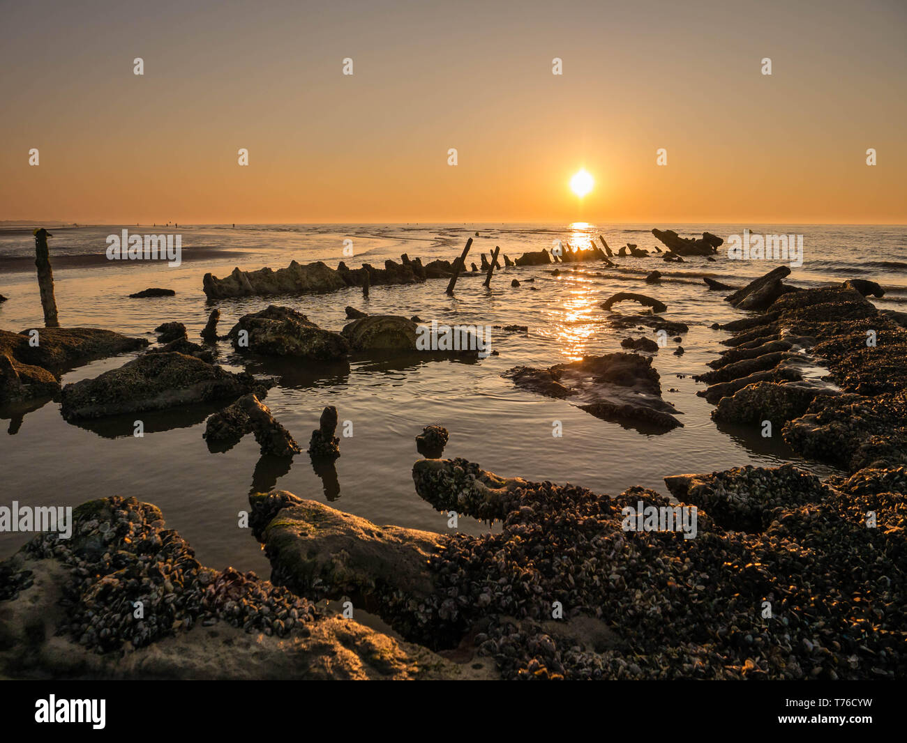 Low tide at sunset exposes a sunken shipwreck from World War II close to the beach Stock Photo