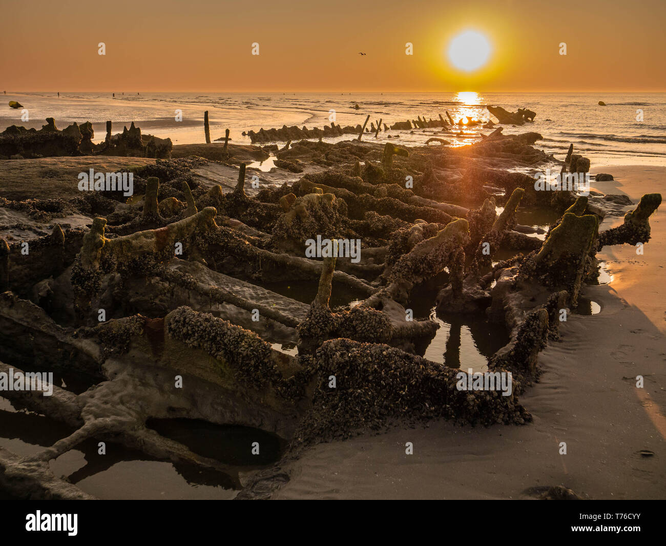 Wreckage of a world war ship at sunset close to the beach Stock Photo
