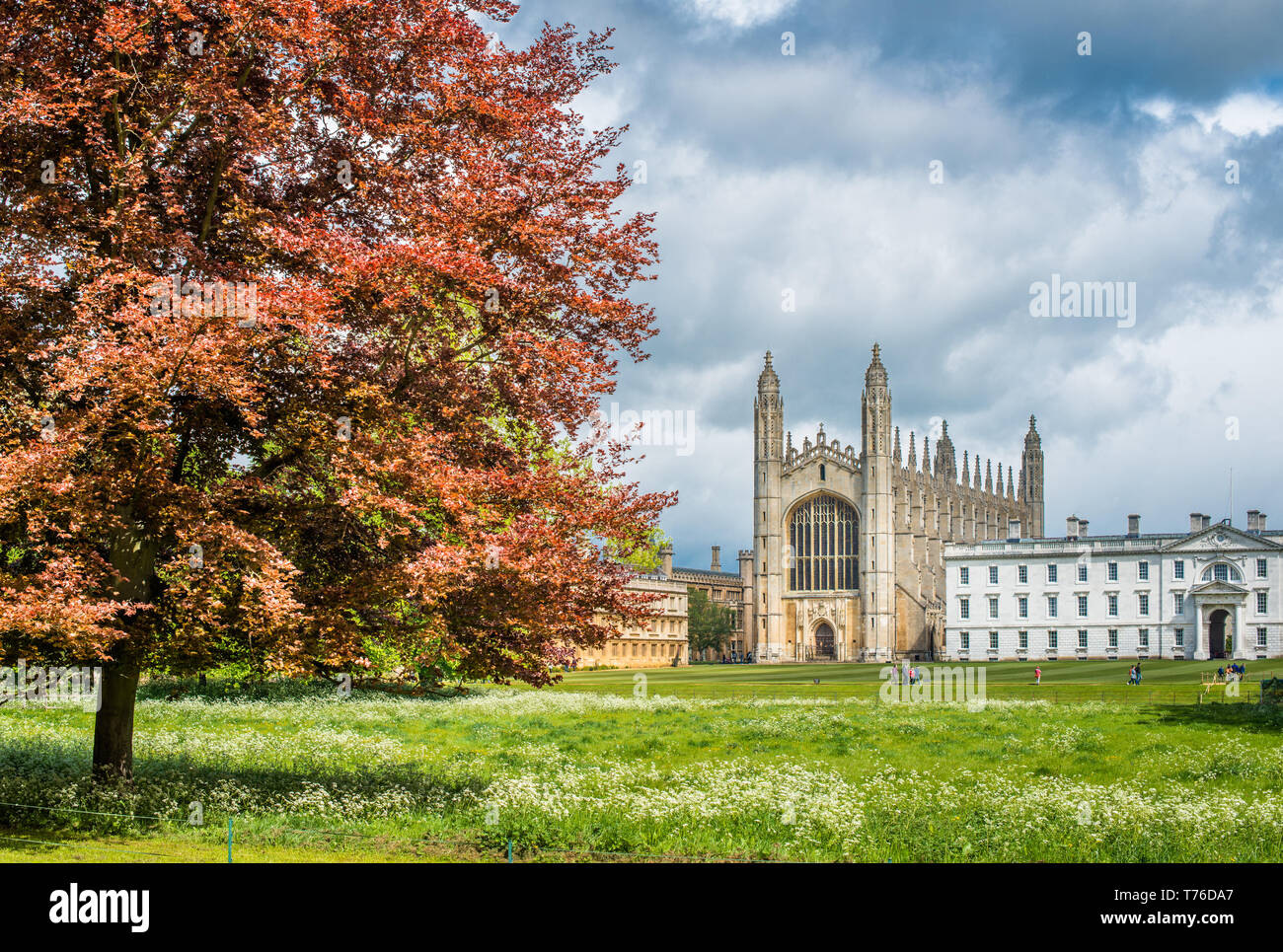 Kings College chapel. Cambridge University, Cambridgeshire, England. UK. Stock Photo