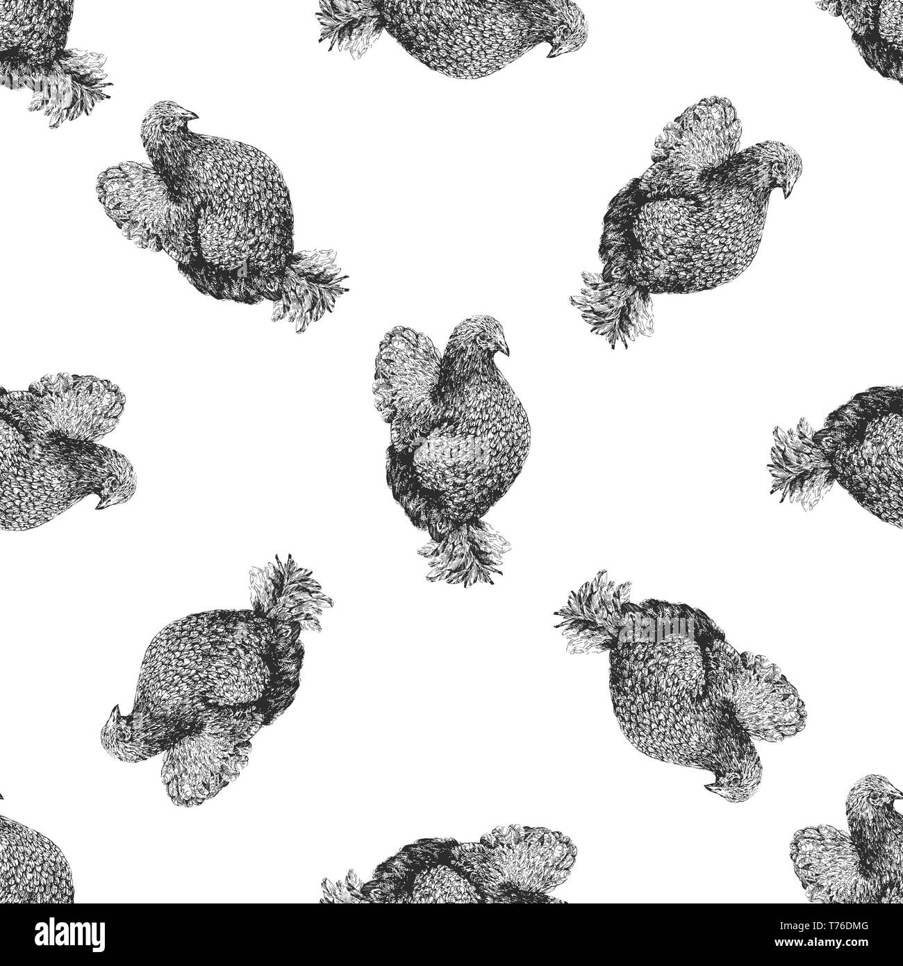 Seamless pattern of hand drawn sketch style chicken isolated on white ...
