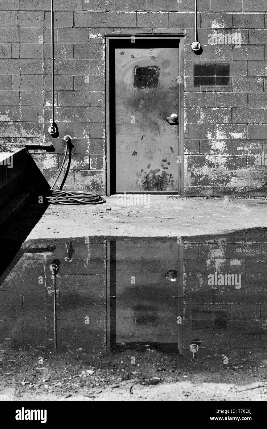 A door is reflected in a puddle of water Stock Photo Alamy