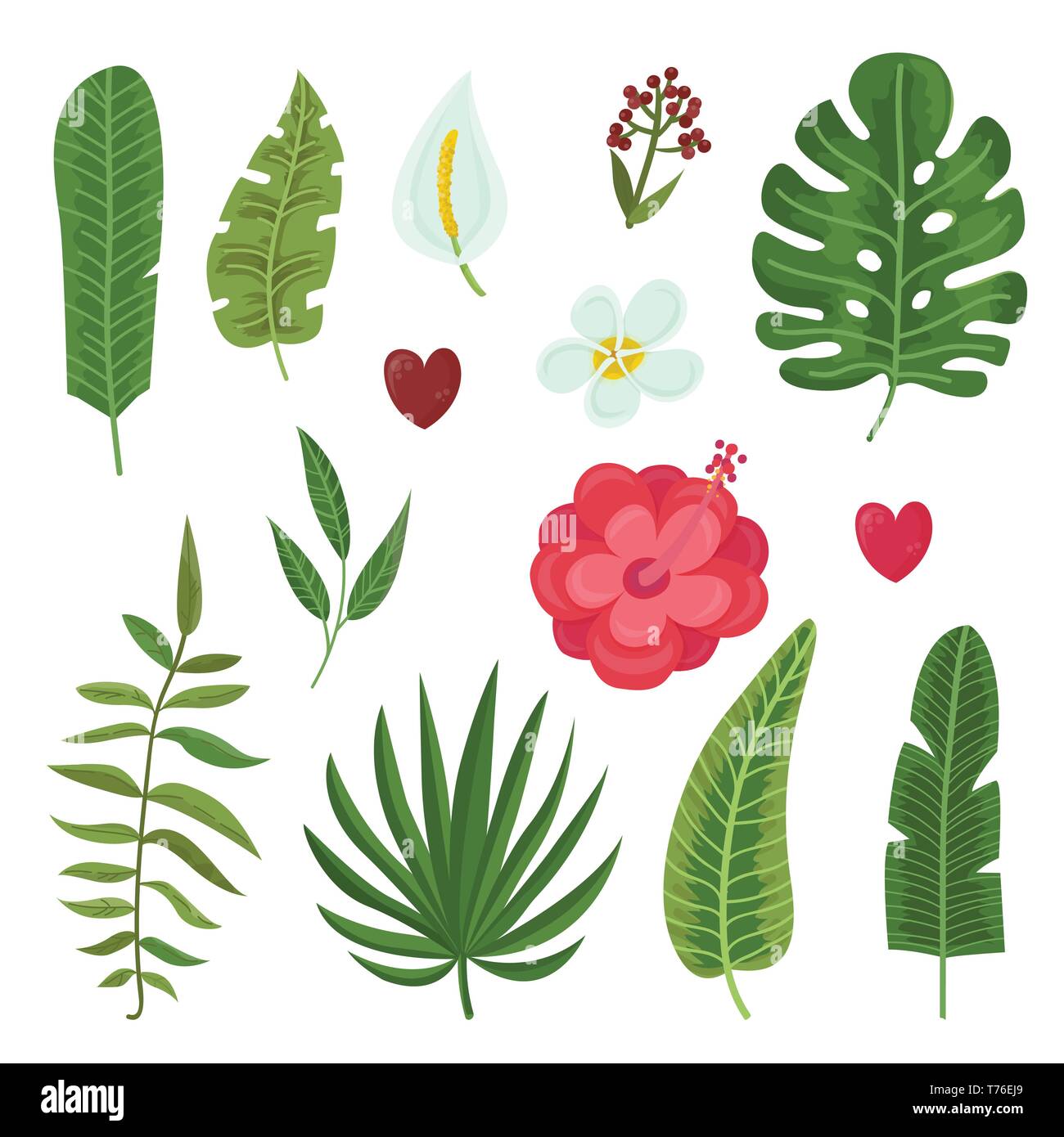 Vector set of tropical leaves and flowers. Vector illustration for your ...