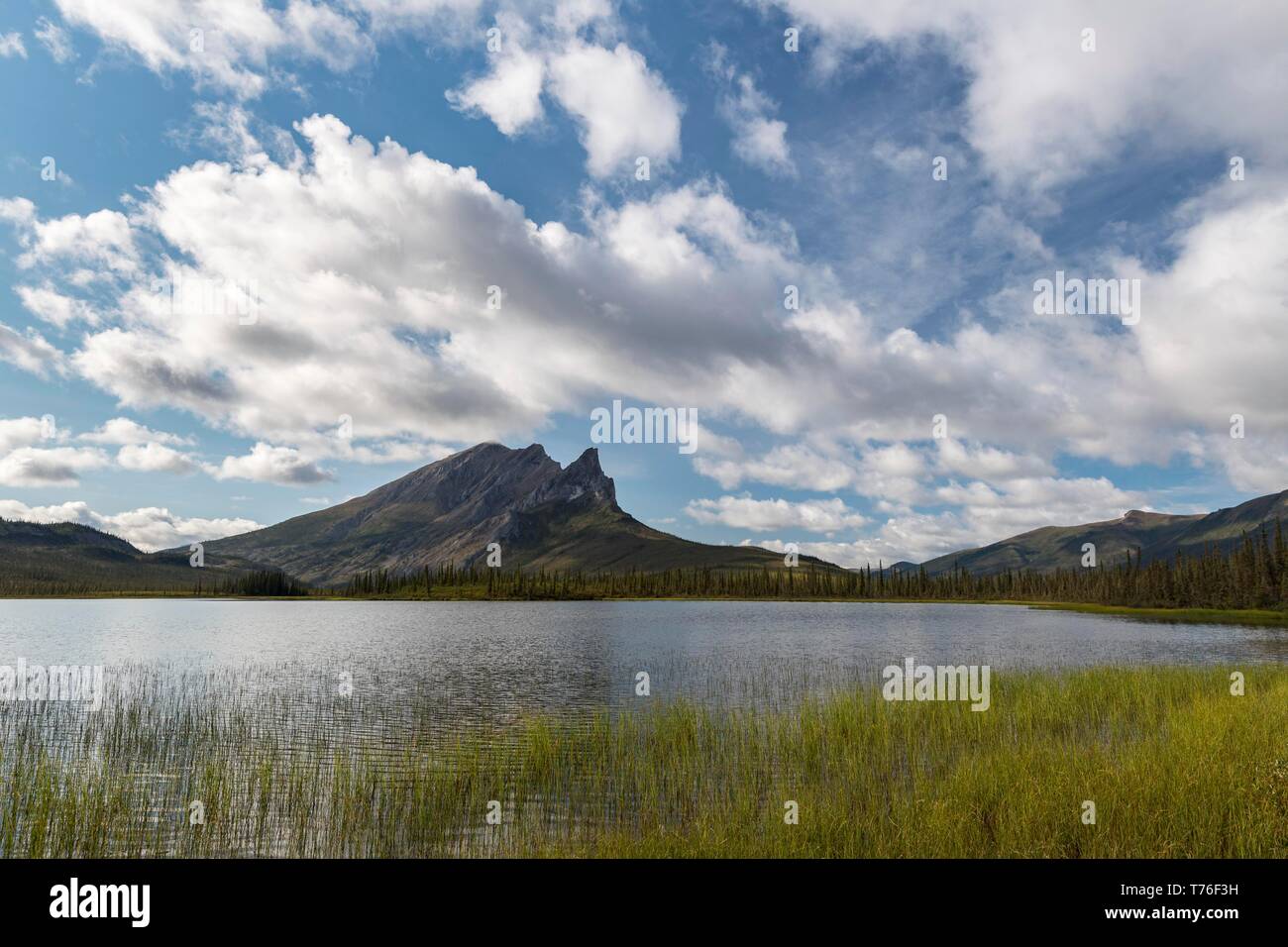 Mount Sukakpak and tundral landscape, Dalton Highway, Brooks Range, Alaska, USA Stock Photo