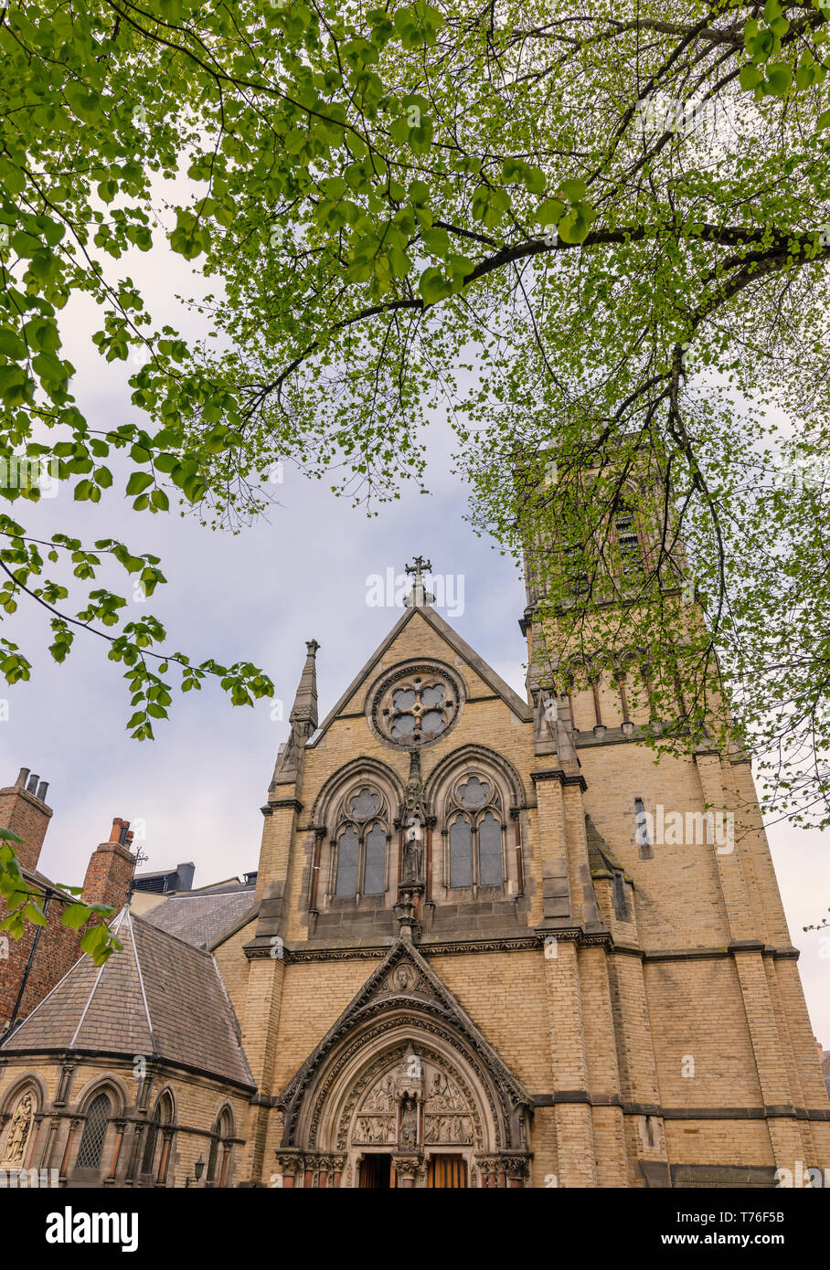 Foliage carvings hires stock photography and images Alamy