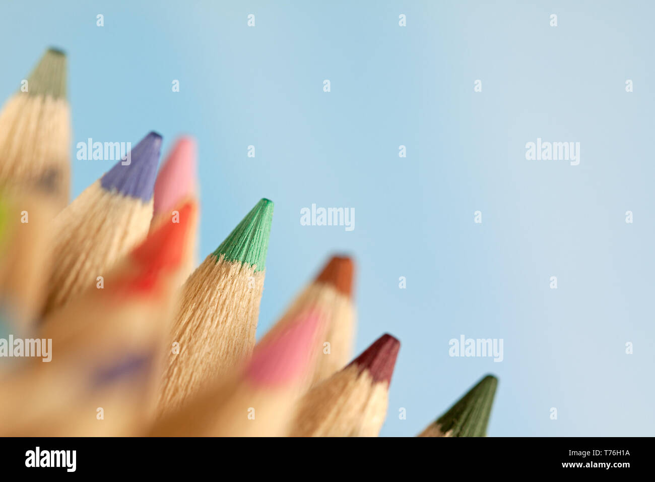 Artists crayons photographed against a blue background Stock Photo - Alamy