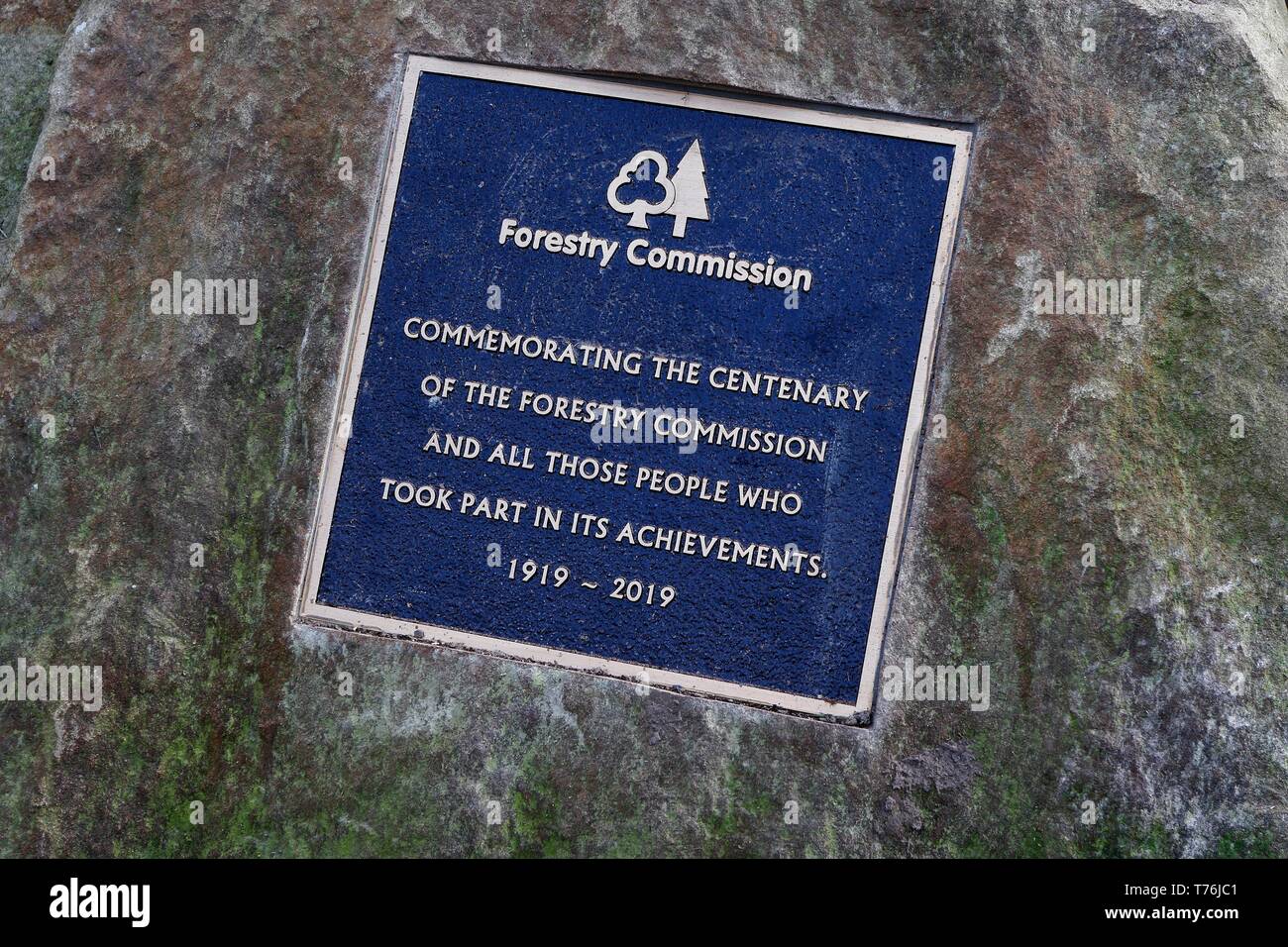 The inscribed plaque, unveiled at the entrance to Spruce Drive, near Speech House, recognising the Forestry Commission centenary, and all the people w Stock Photo