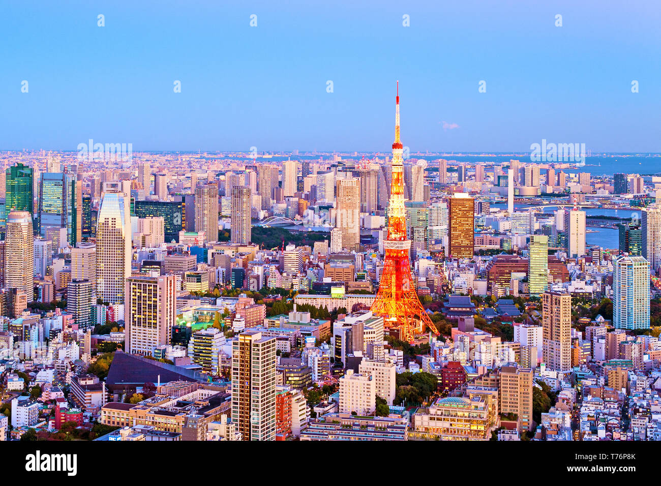 Tokyo City View Skyline Tokyo Tower Dusk Stock Photo