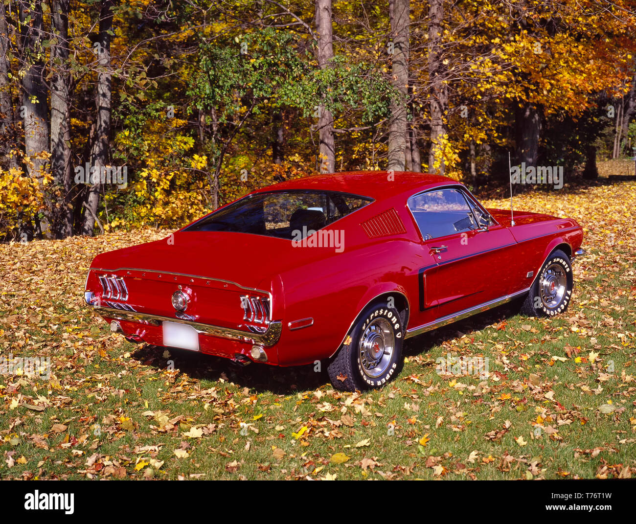 1968 Ford Mustang GT on grass. Stock Photo
