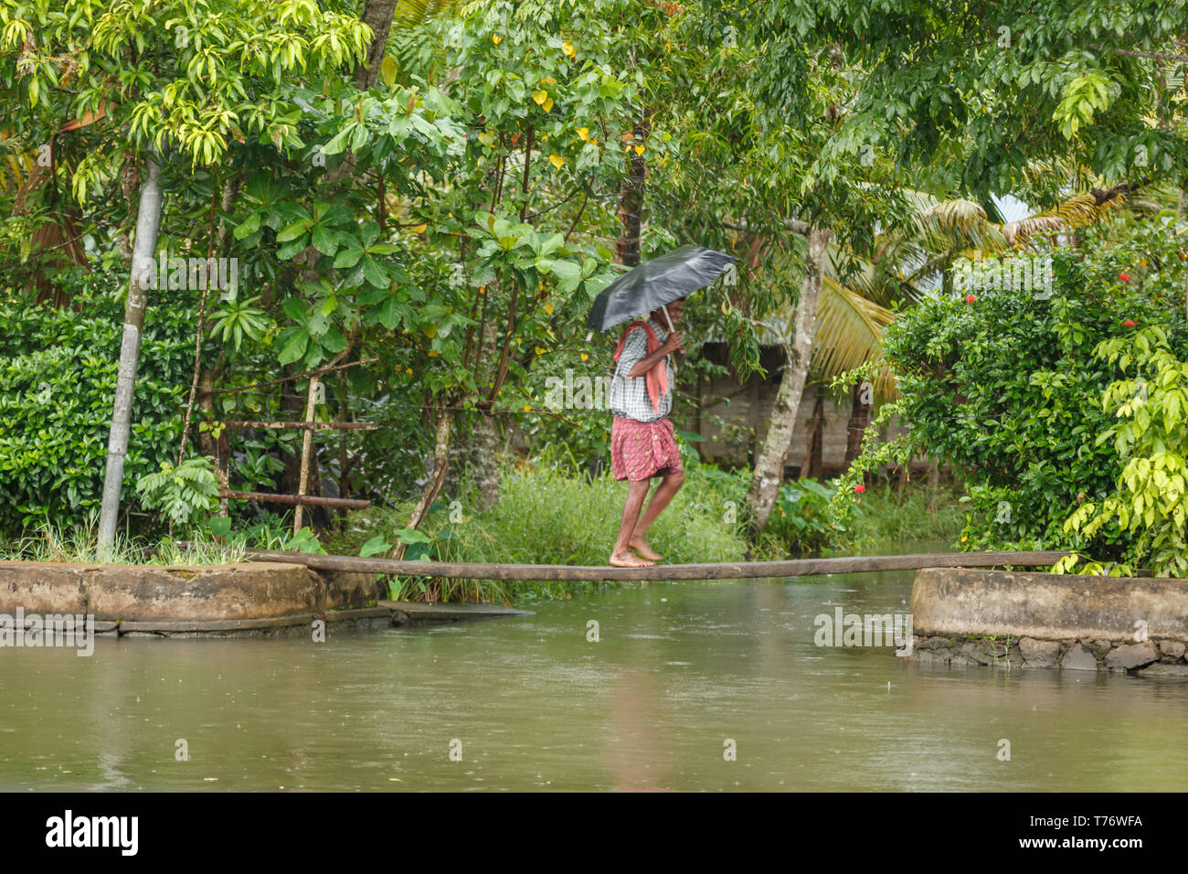 Barefoot child with umbrella crosses creek on a narrow board on way home from school in jungle town of Alleppey, India Stock Photo