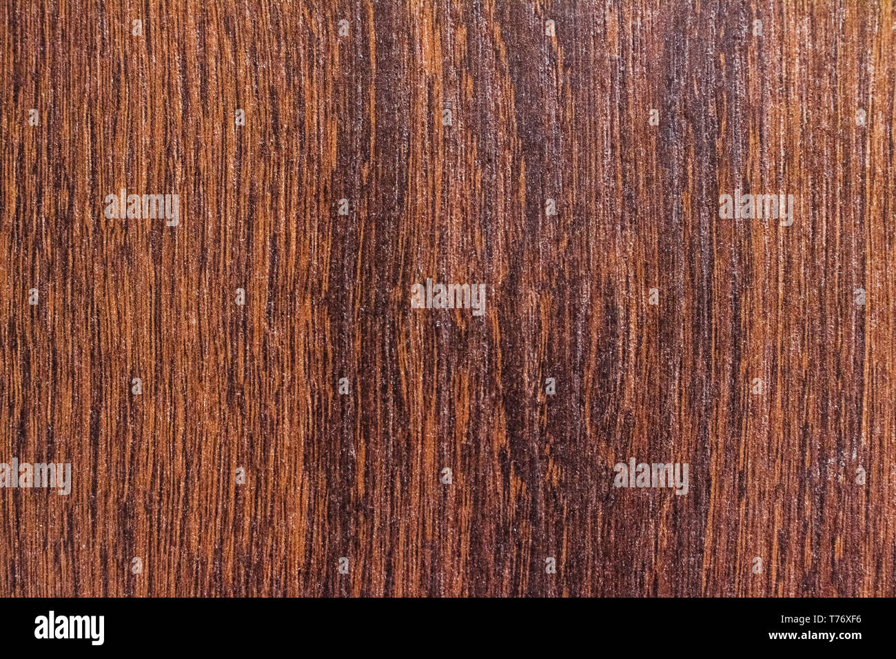 Curated visual reference: Visual Reference: Flooring New Apartment And Home Renovation Concept