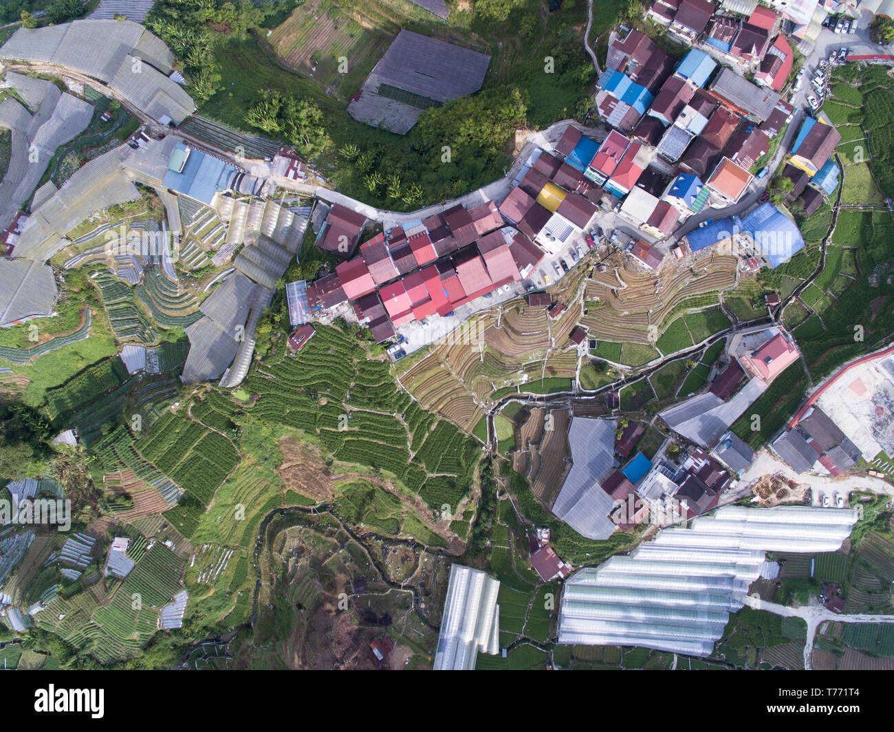 Aerial top down view of a farmland and houses in a rural countryside ...