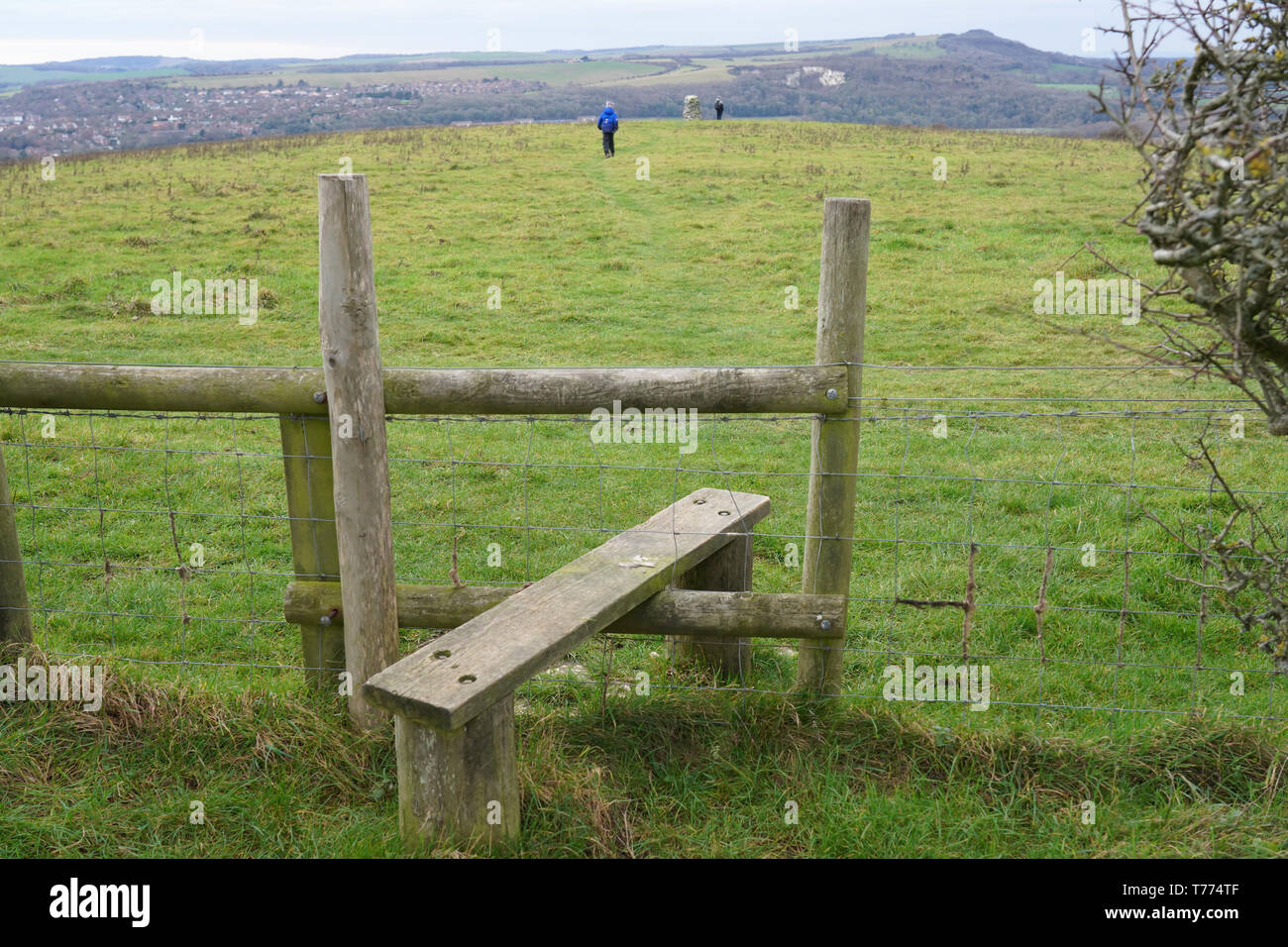 Ladder Over Fence High Resolution Stock Photography and Images Alamy