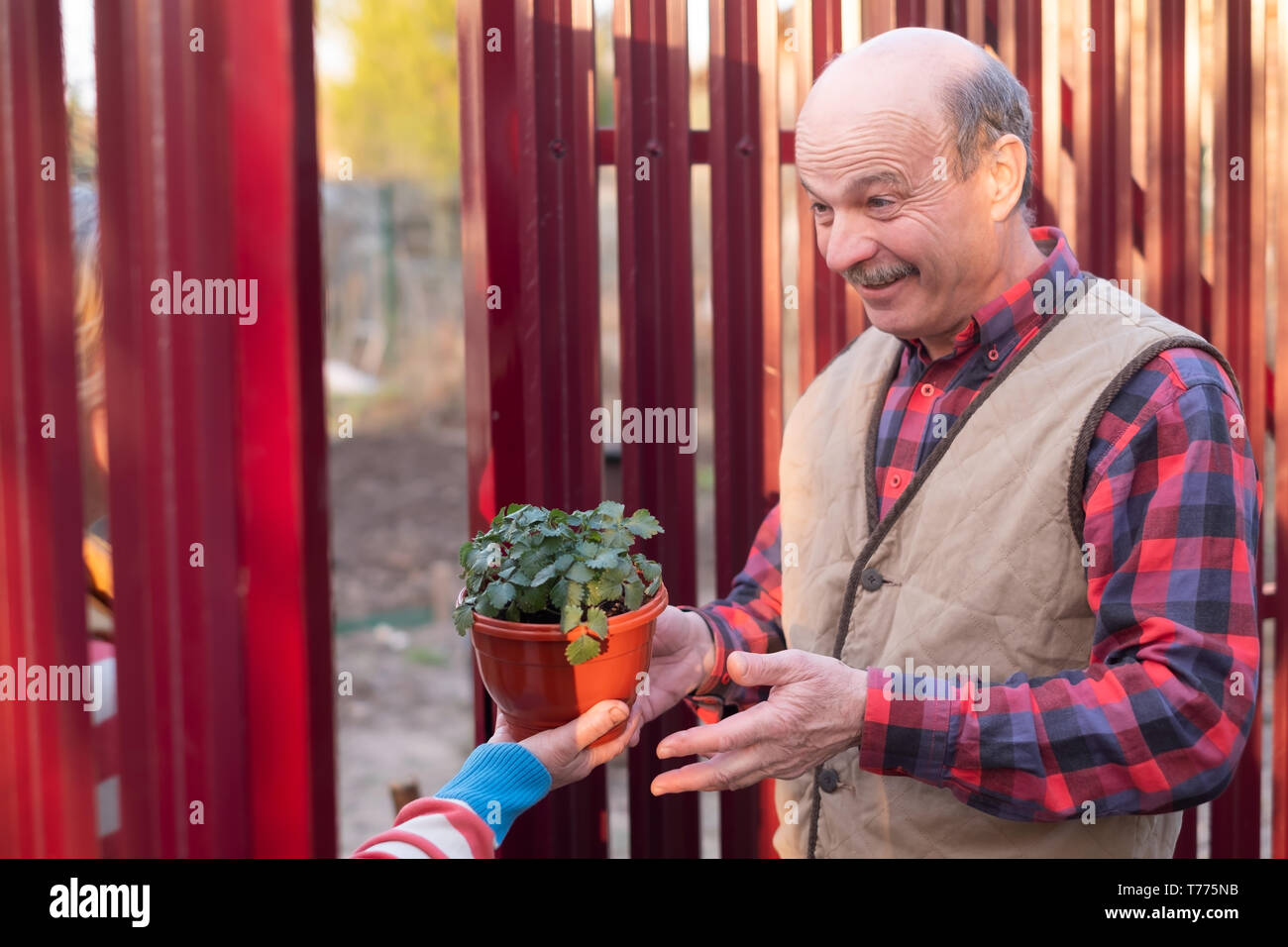 Mature caucasian man is happy to receive a gift from neighbor. Stock Photo