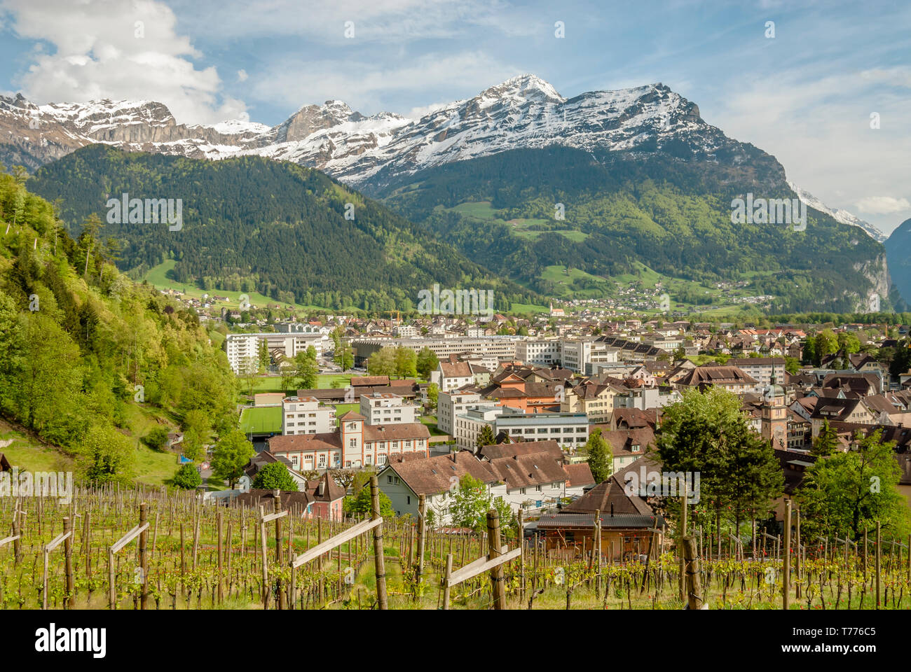 View over Altdorf at the Lake Lucerne, Central Switzerland Stock Photo